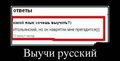 35460746.jpeg