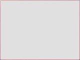 11.png